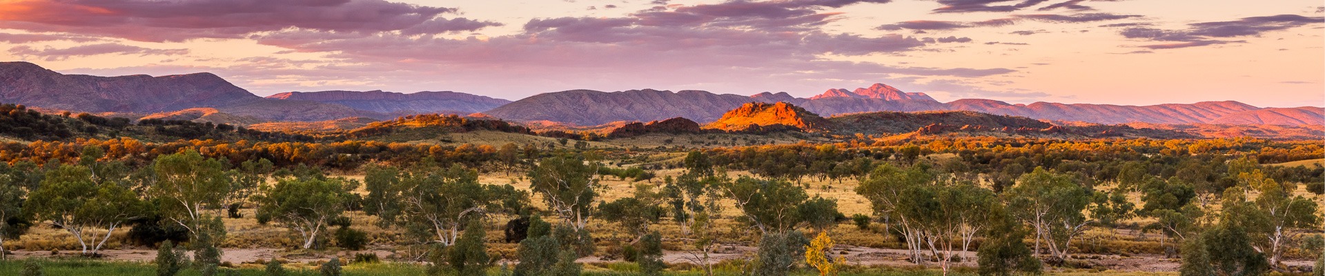 matthew duke header landscape photo of outback Australia