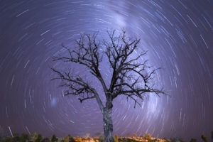 Lone Tree Vortex Matthew Duke Landscape Photography Astrophotopgraphy