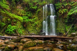 Beauchamp-Falls-Otway-Forest-Victoria-Duke-Landscape-Photography