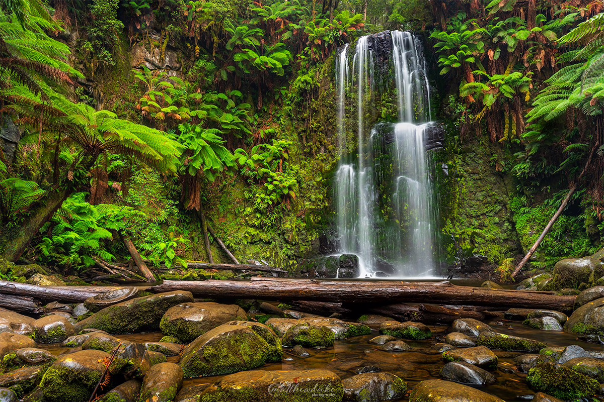 Beauchamp-Falls-Otway-Forest-Victoria-Duke-Landscape-Photography